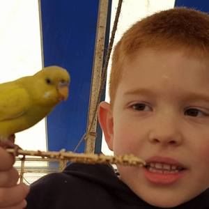 Meet your Posher, Brandy